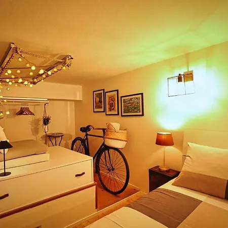 House Bolonia